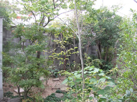 f0355473_20255337.jpg