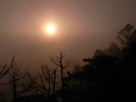 f0355473_20255835.jpg