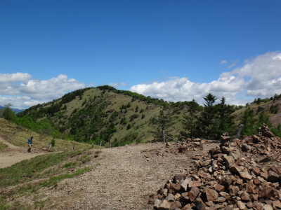 d0182075_8595639.jpg