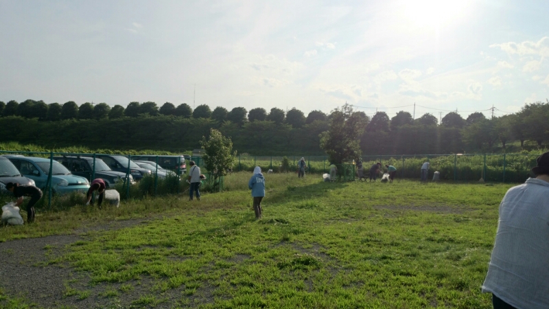 f0230380_8364164.jpg