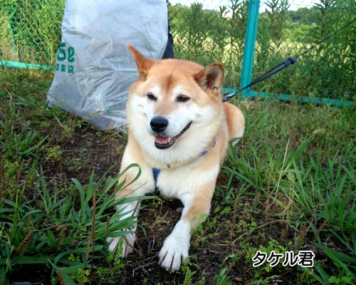 f0230380_89247.jpg