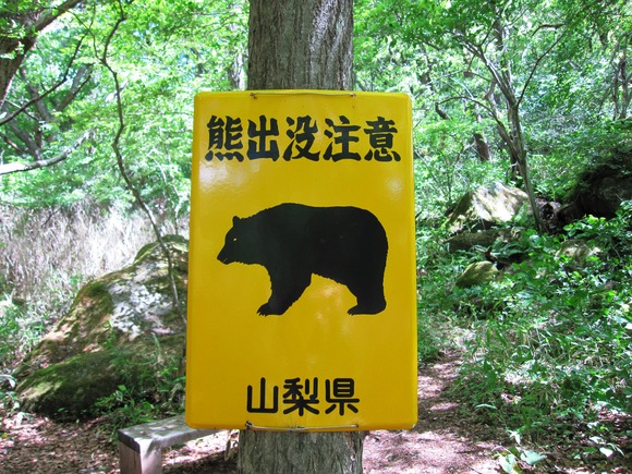 b0150088_17172848.jpg