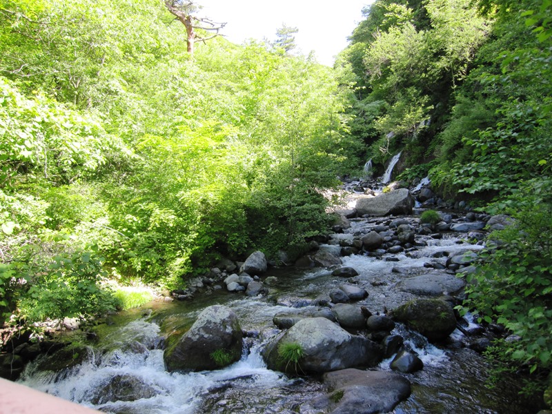 b0150088_1723497.jpg