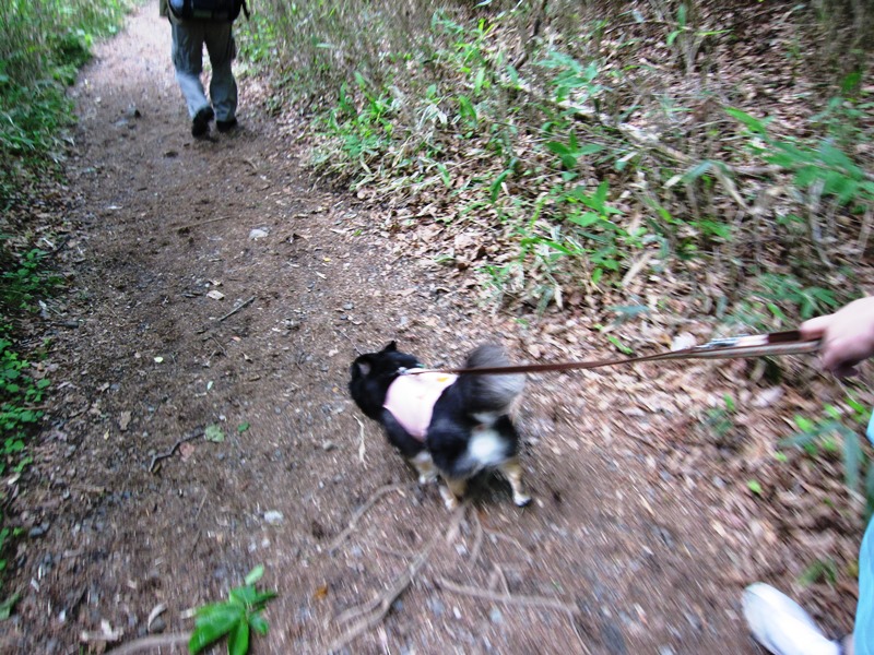 b0150088_17293137.jpg