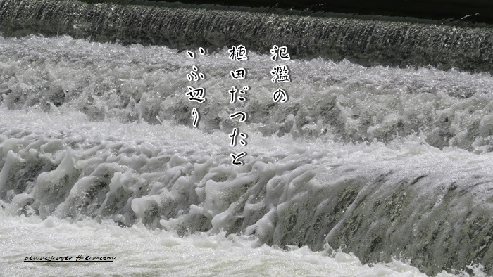 f0053297_13323937.jpg