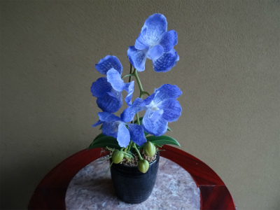 c0125501_11304241.jpg