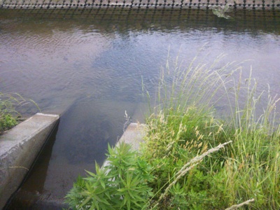 f0082402_21203966.jpg