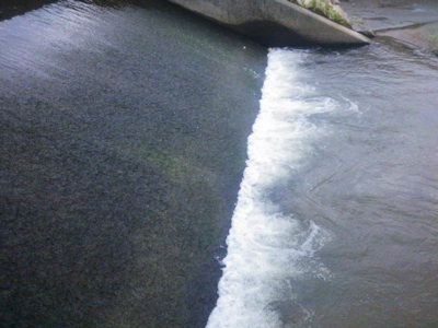 f0082402_2136467.jpg