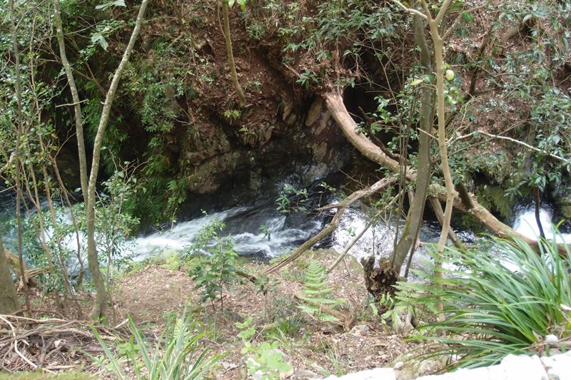 e0018604_05403687.jpg