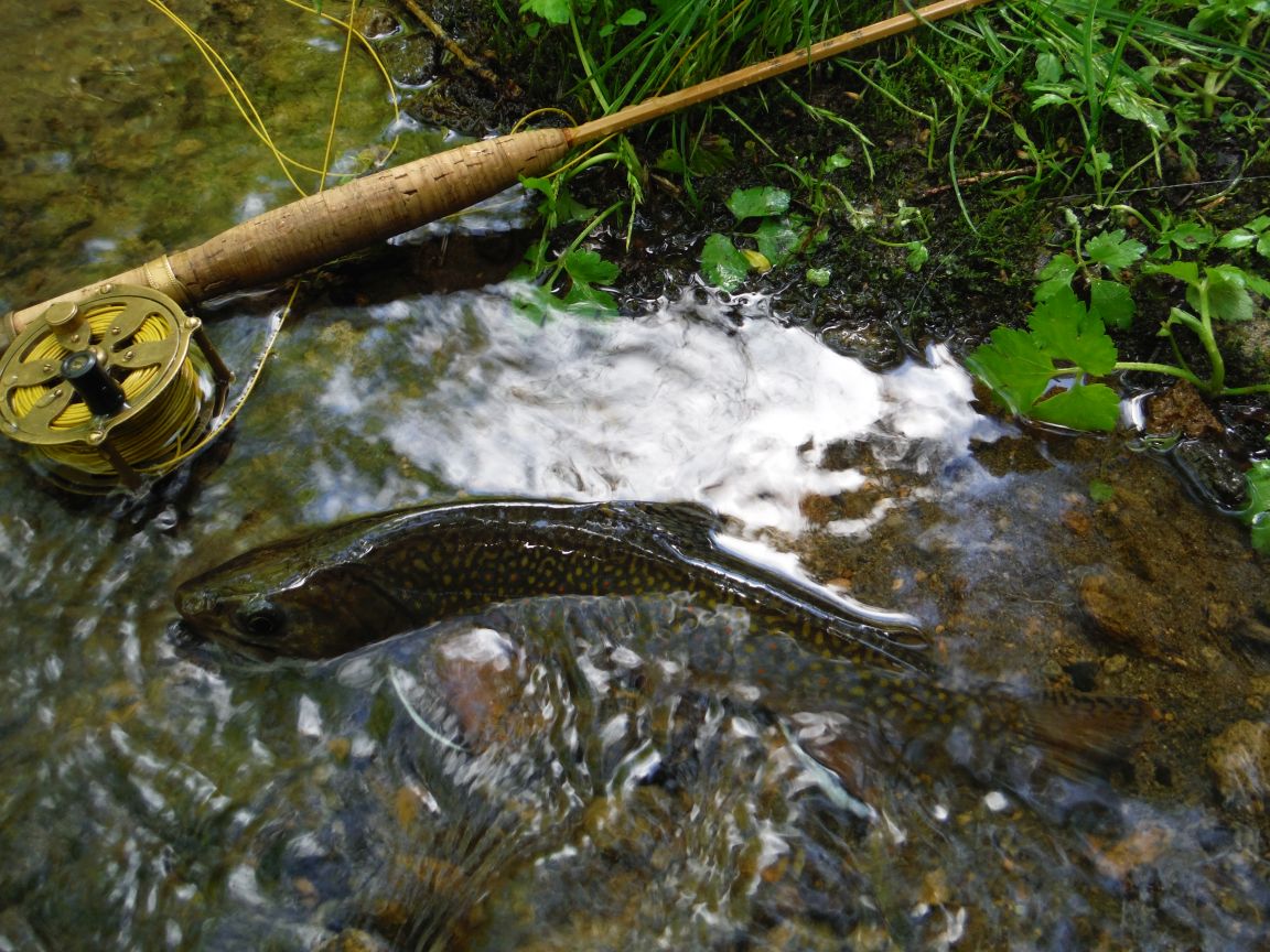b0172805_2524240.jpg