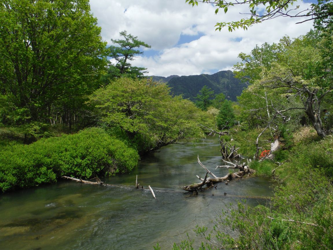 b0172805_332014.jpg