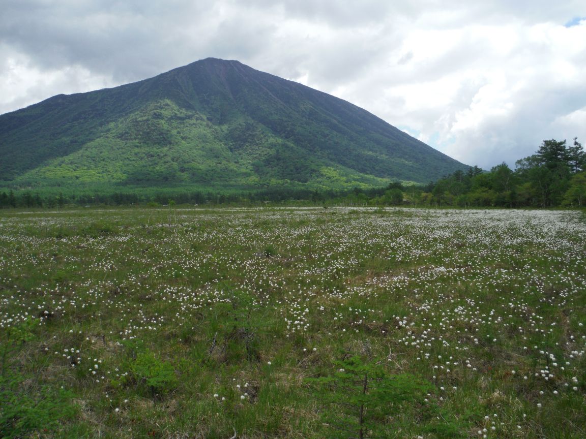 b0172805_333921.jpg