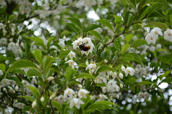 b0277008_17544884.jpg