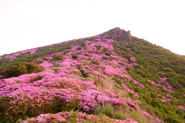 b0277008_902594.jpg