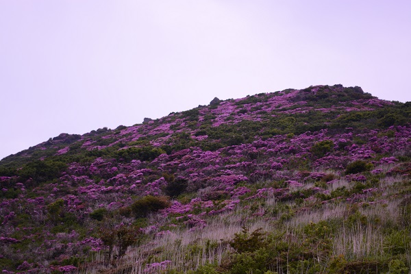 b0277008_933750.jpg