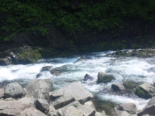 c0060308_18121654.jpg