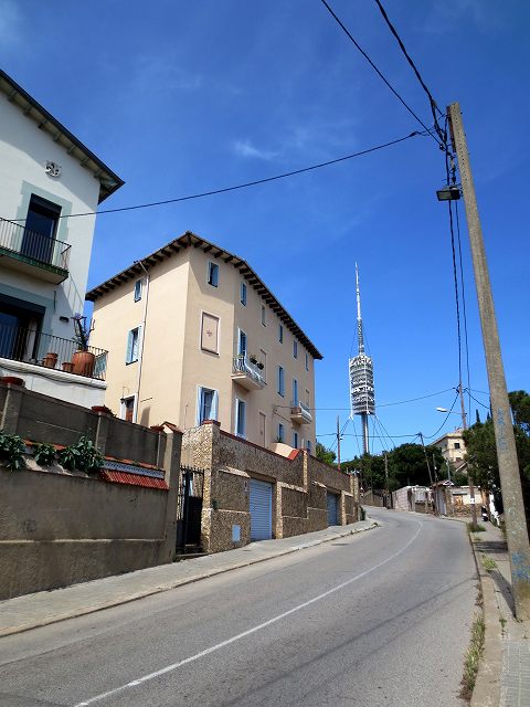 b0064411_17314617.jpg