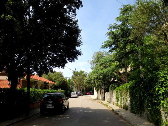 b0064411_17314626.jpg