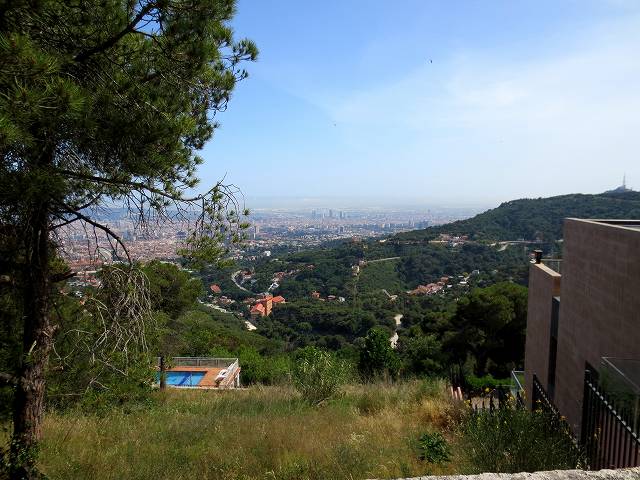 b0064411_17314629.jpg