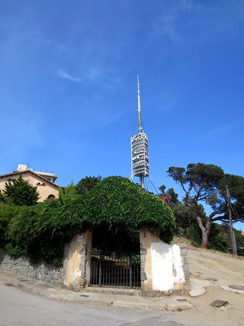 b0064411_17334053.jpg