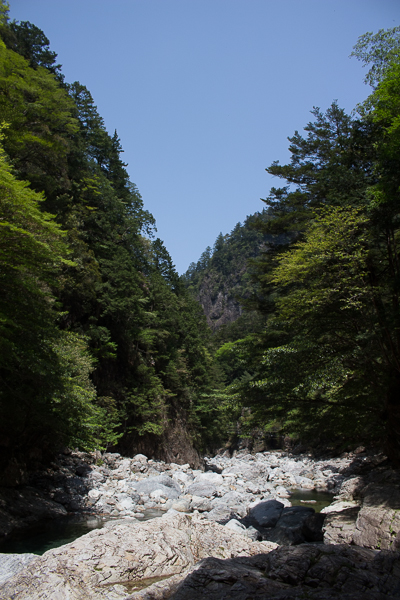 b0244811_237182.jpg