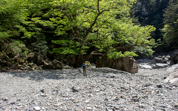 b0244811_2375290.jpg