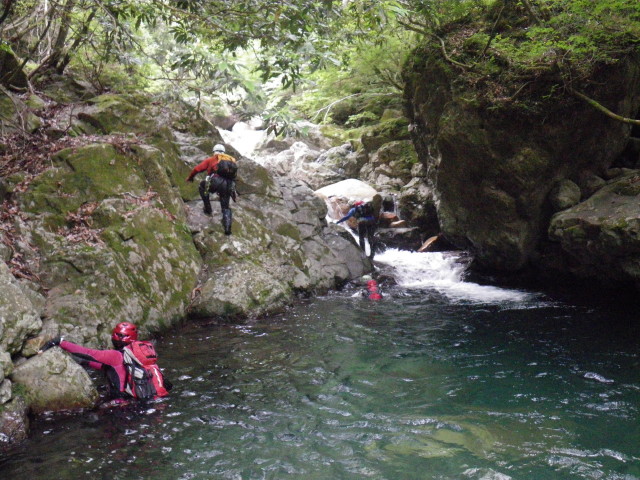 d0006512_23421131.jpg
