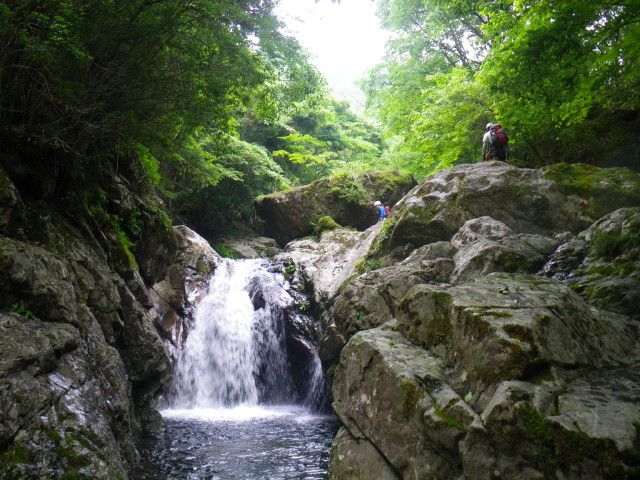 d0006512_23422534.jpg