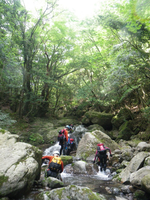 d0006512_23451356.jpg