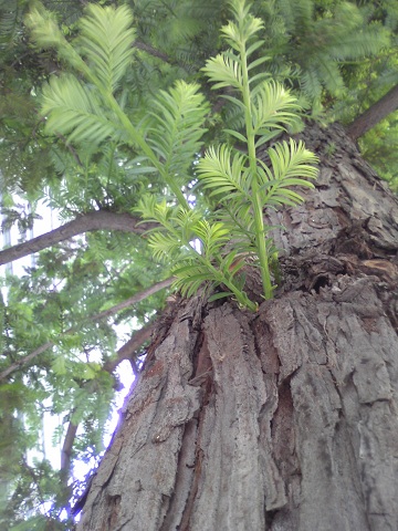 b0309813_0502159.jpg