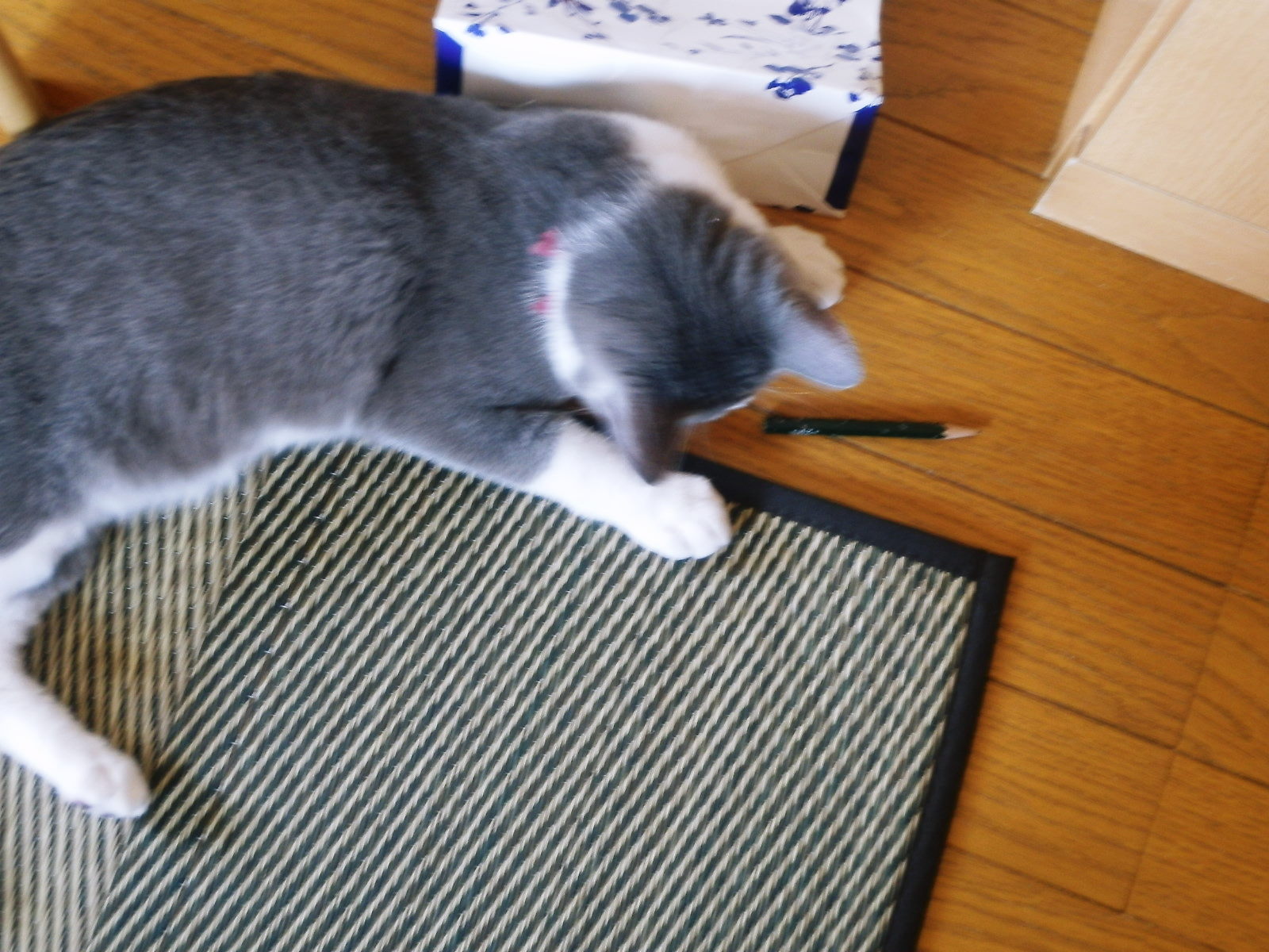 c0118715_14152857.jpg