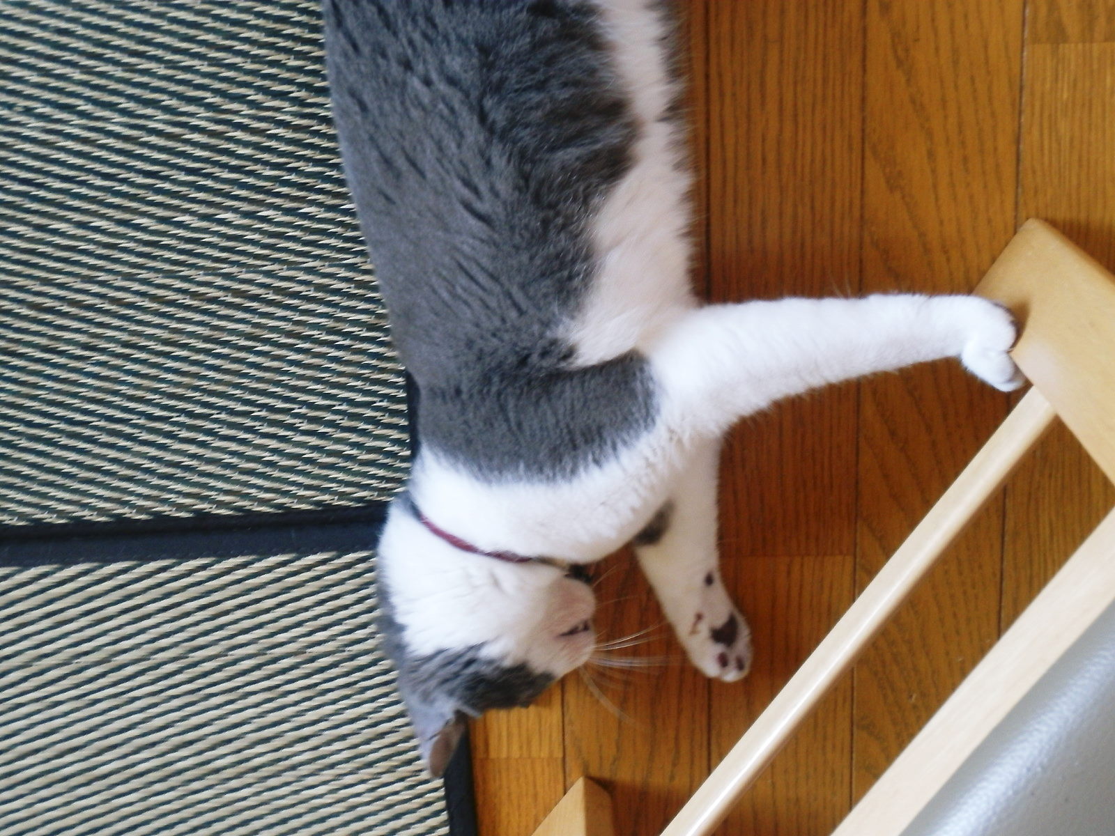 c0118715_1416721.jpg