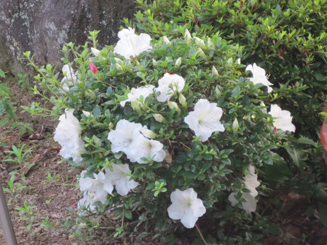 f0248616_1610342.jpg
