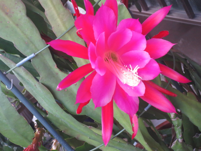 f0248616_1695393.jpg