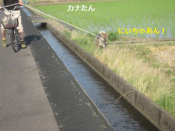 f0143123_20221211.jpg