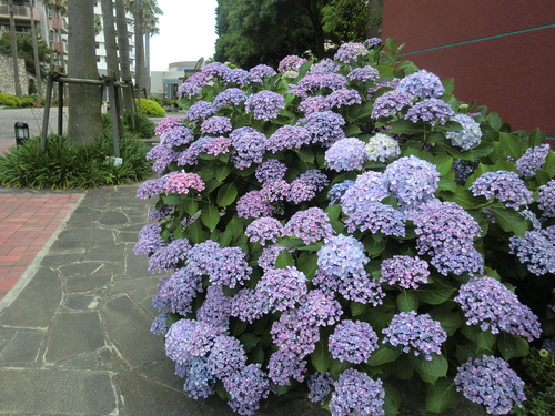 c0095424_10315575.jpg