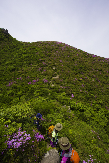 e0200926_23473096.jpg