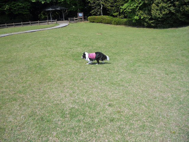 d0059230_834284.jpg
