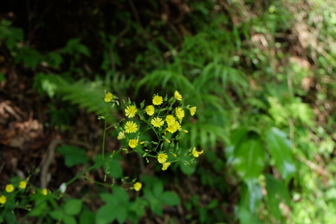 b0281732_10315880.jpg