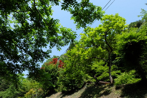 b0281732_810885.jpg