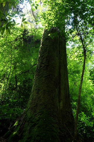 b0281732_825357.jpg