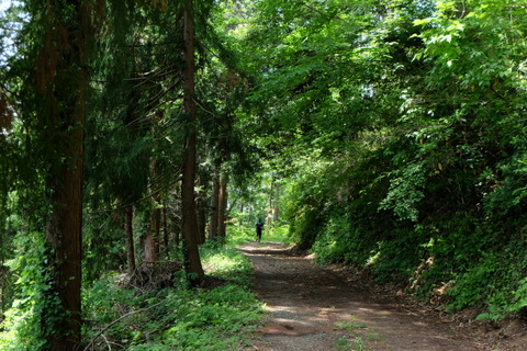 b0281732_854280.jpg
