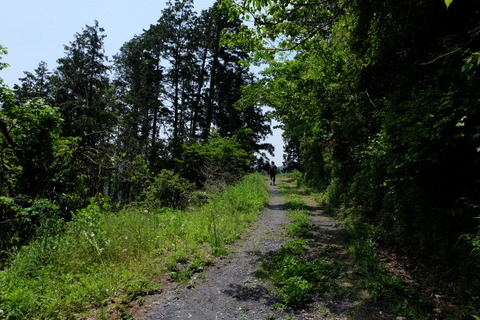 b0281732_855583.jpg