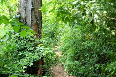 b0281732_871323.jpg