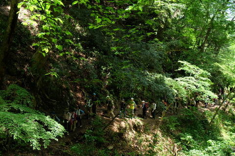 b0281732_873916.jpg