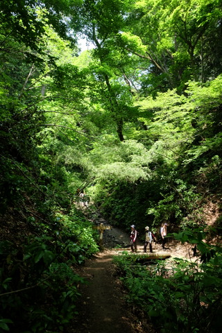 b0281732_874746.jpg