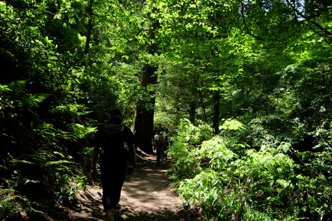 b0281732_883461.jpg