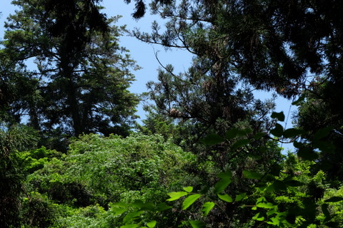 b0281732_892010.jpg