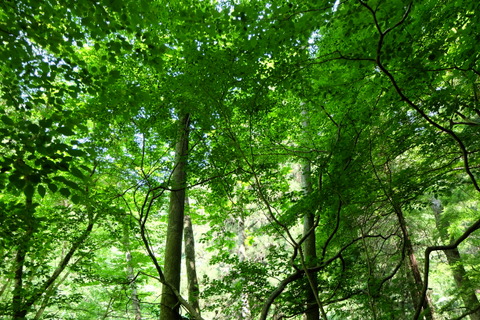 b0281732_894739.jpg
