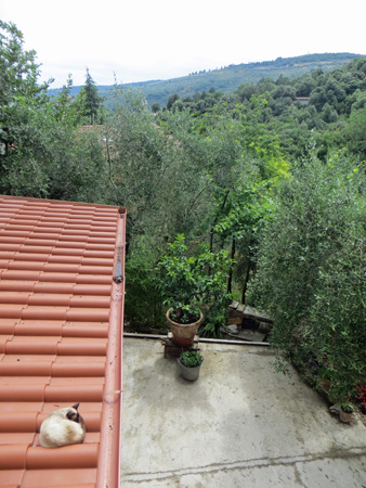 f0234936_142852.jpg